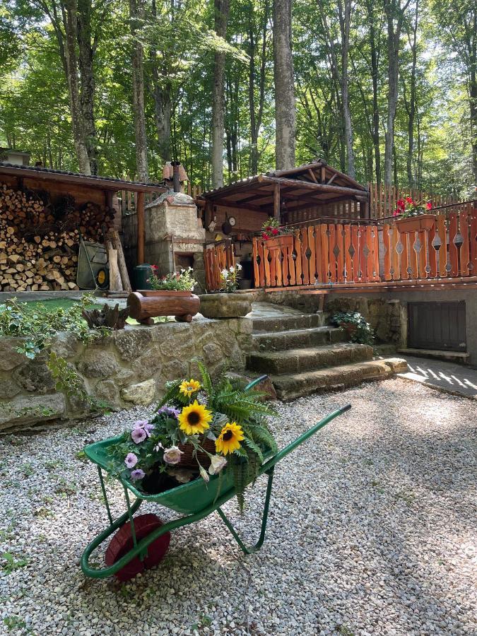 Appartement Chalet I Folletti à Abbadia San Salvator Extérieur photo